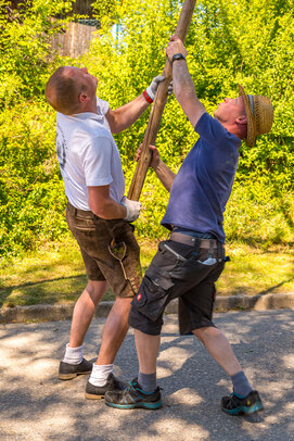 Thumbnail: _JA 31194 Maifest Hohenried 2026.jpg